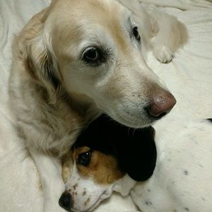 Meet your Posher, Marie